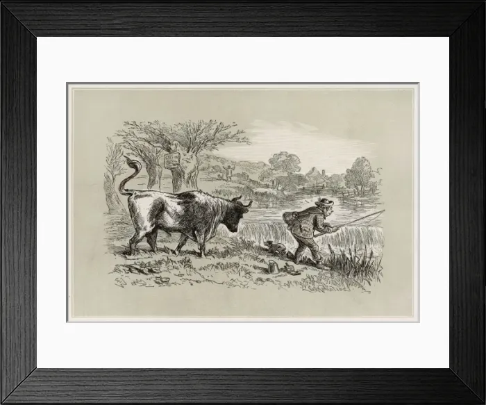 Framed Print : Fisherman and a Bull Framed Print : Fisherman and a Bull