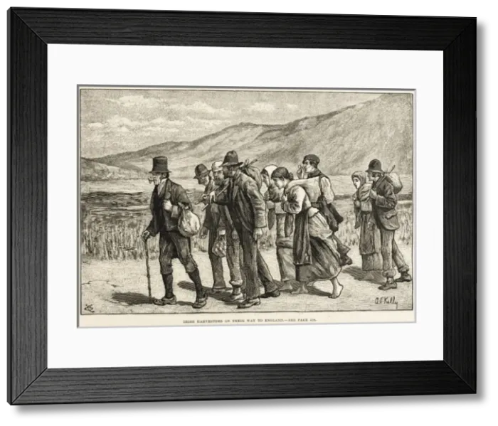 Framed Print : Irish Harvesters Framed Print : Irish Harvesters