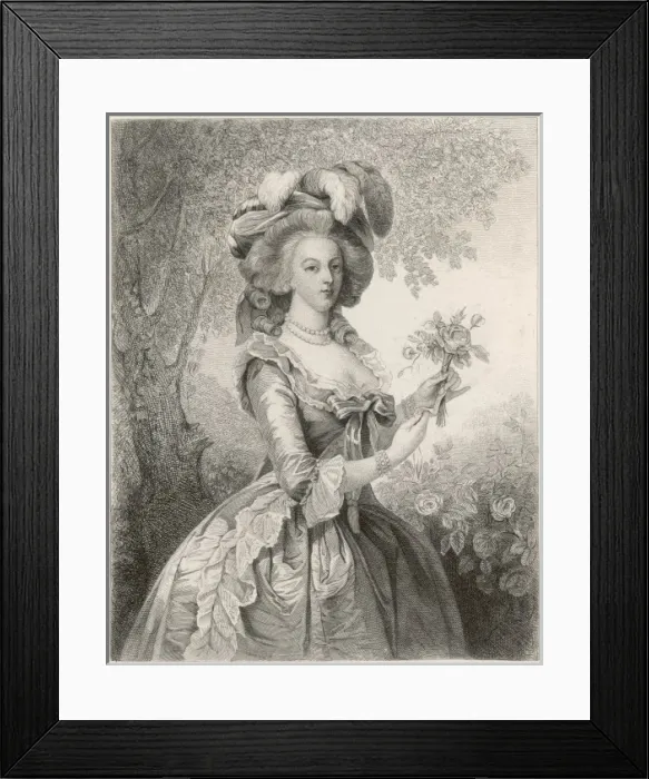 Framed Print : Marie Antoinette Framed Print : Marie Antoinette