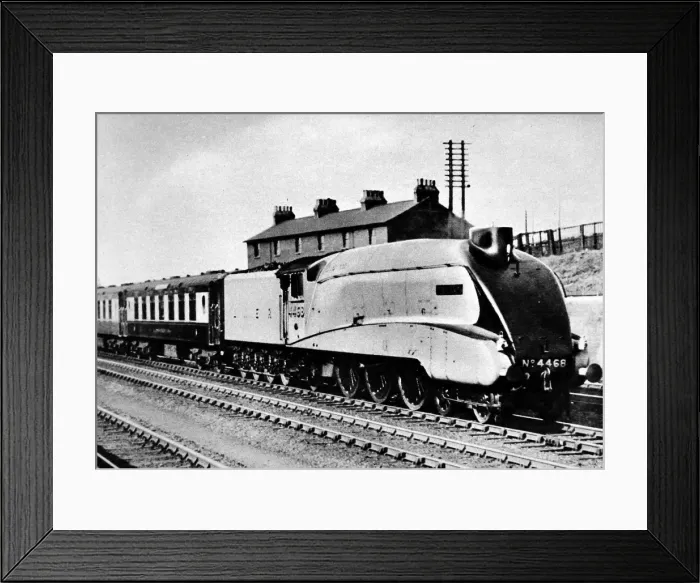 Framed Print : The Mallard Framed Print : The Mallard