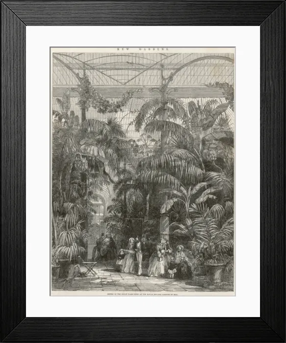 Framed Print : Kew Gardens Framed Print : Kew Gardens