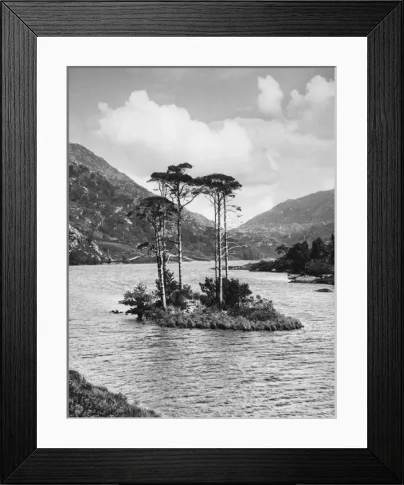 Framed Print : Island on Loch Eilt Framed Print : Island on Loch Eilt