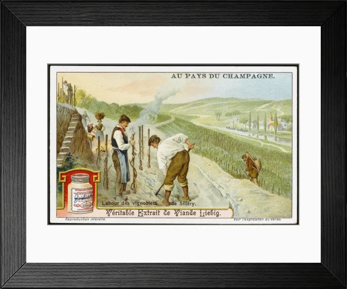 Framed Print : Champagne Production Framed Print : Champagne Production