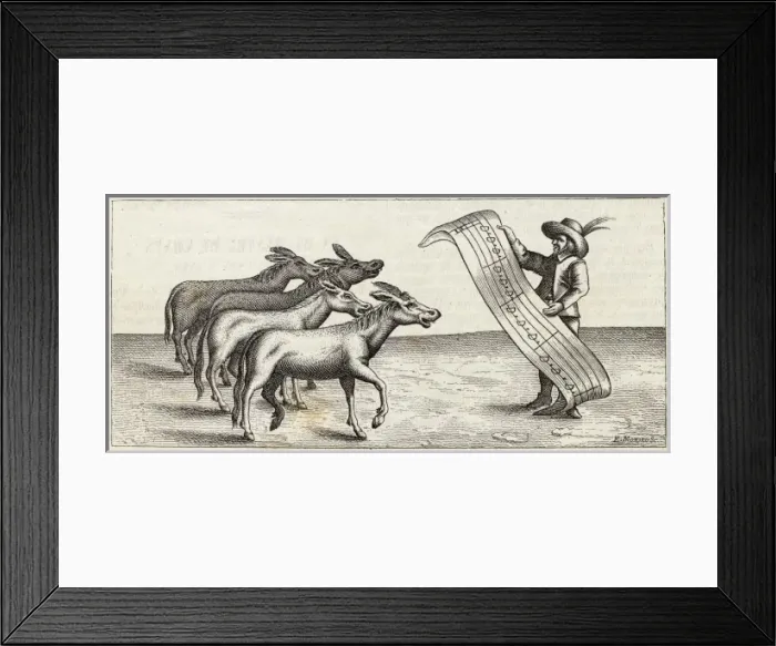 Framed Print : Donkey Serenade Framed Print : Donkey Serenade