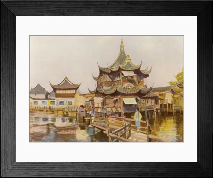 Framed Print : China / Shanghai Willow Framed Print : China / Shanghai Willow