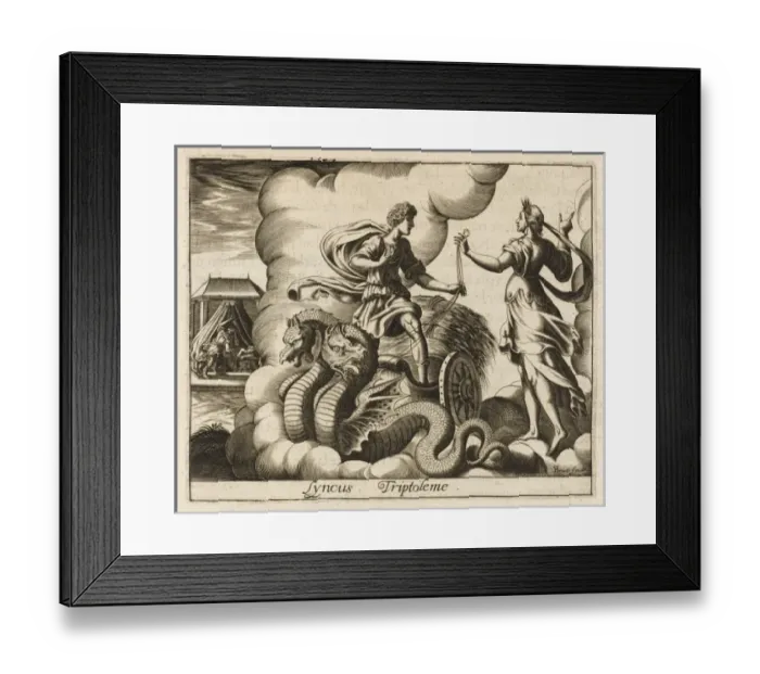 Framed Print : Lyncus into Lynx Framed Print : Lyncus into Lynx