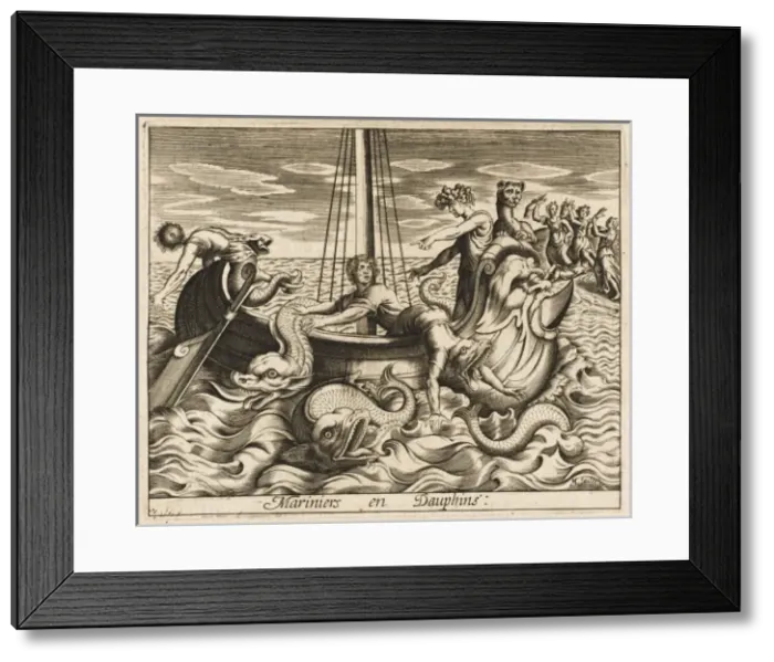 Framed Print : Sailors into Dolphins Framed Print : Sailors into Dolphins
