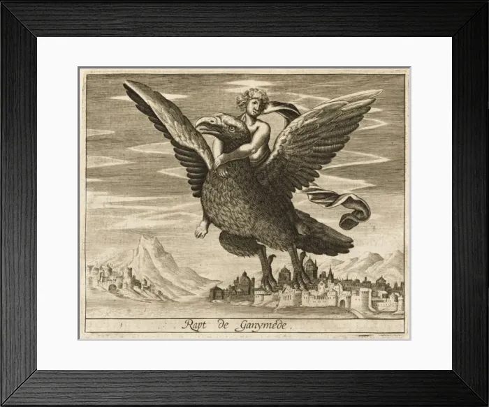Framed Print : Ganymede Abducted Framed Print : Ganymede Abducted
