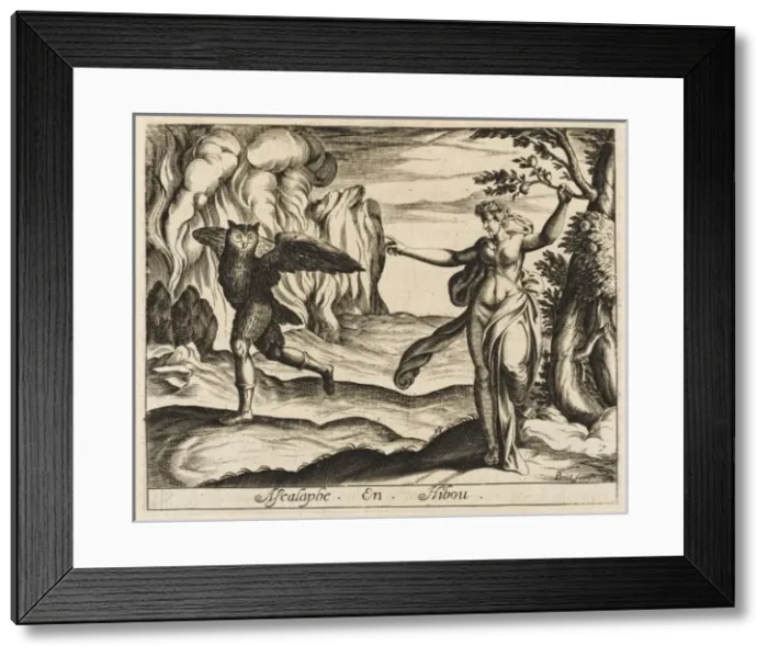 Framed Print : Ascalaphius into Owl Framed Print : Ascalaphius into Owl