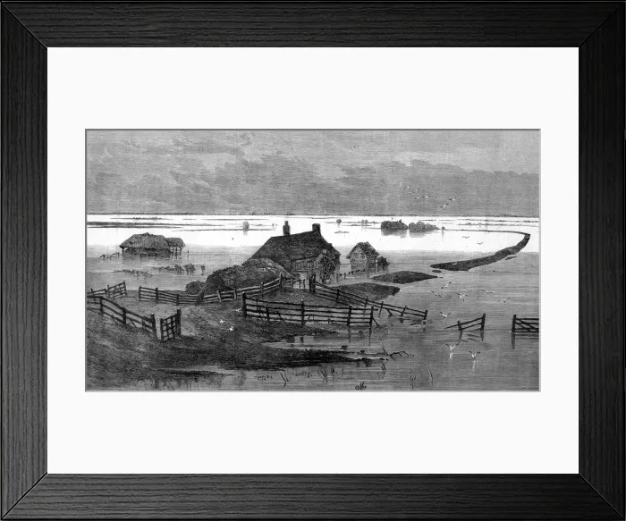 Framed Print : The flooded fens around the Coffer Dam. Farmland drowned in Framed Print : The flooded fens around the Coffer Dam. Farmland drowned in