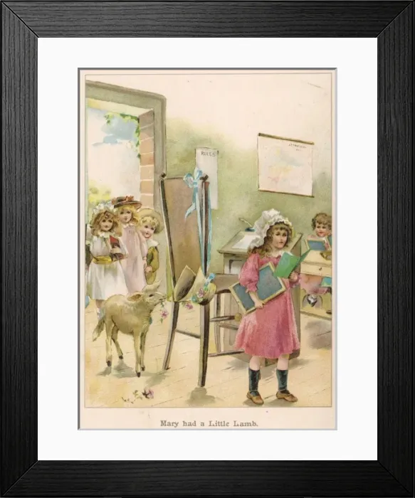Framed Print : Mary had a Little Lamb Framed Print : Mary had a Little Lamb