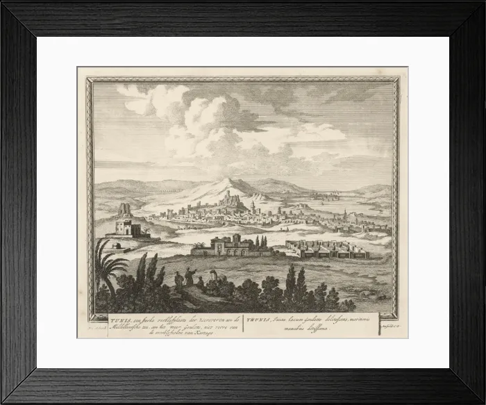 Framed Print : TUNIS. The town seen from the land Framed Print : TUNIS. The town seen from the land