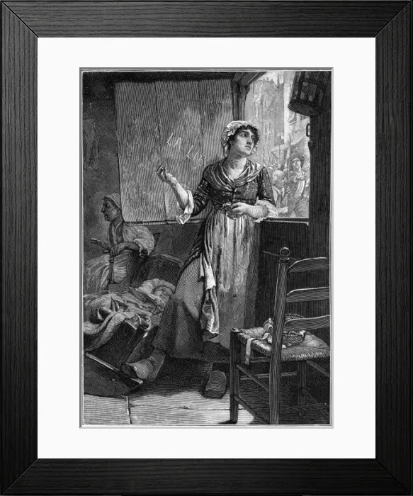 Framed Print : Cocarde Tricolore Framed Print : Cocarde Tricolore