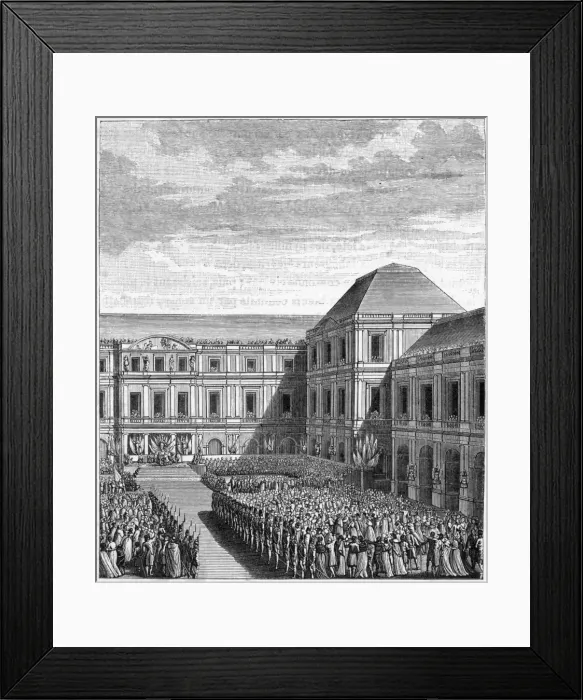 Framed Print : Napoleon Feted Framed Print : Napoleon Feted