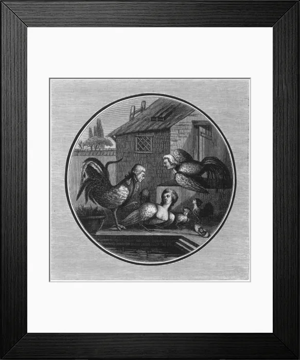 Framed Print : Lafayette Satire Framed Print : Lafayette Satire