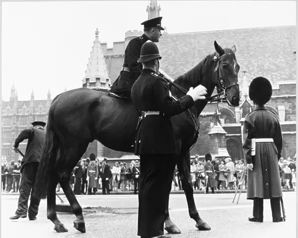 Mounted Police Officer