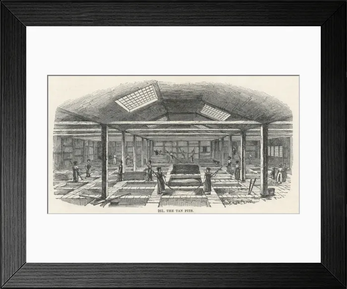 Framed Print : Leather Tan-Pits Framed Print : Leather Tan-Pits