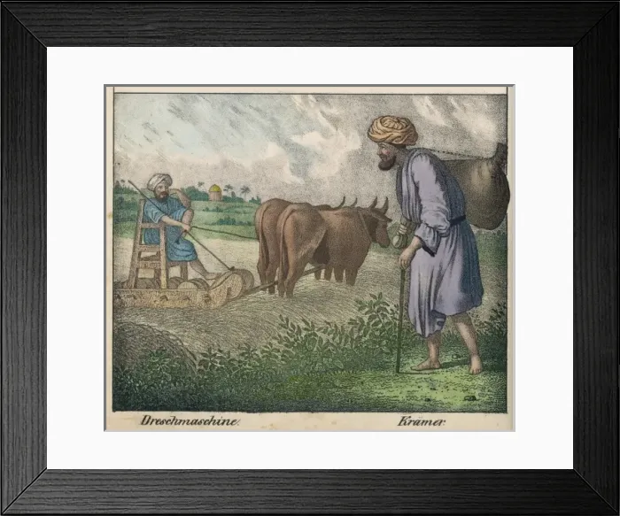 Framed Print : Egyptian Farmer Framed Print : Egyptian Farmer