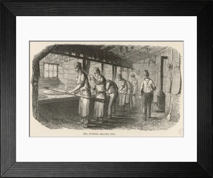 Framed Print : Hats - Beaver-Fur Framed Print : Hats - Beaver-Fur