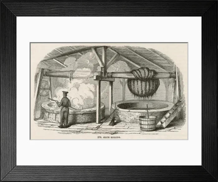 Framed Print : Glue Boiling Framed Print : Glue Boiling