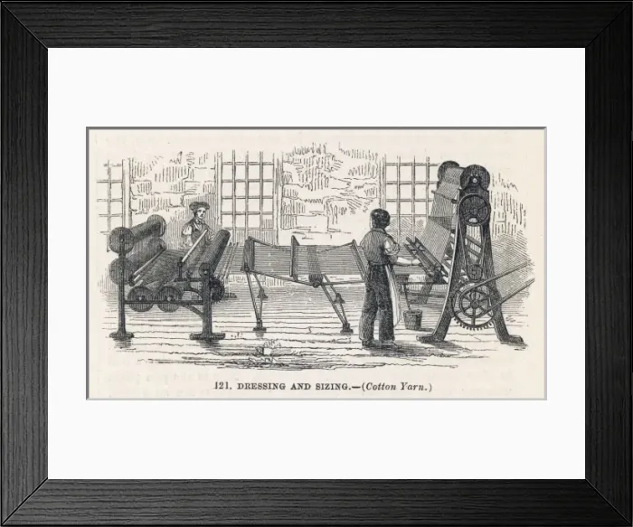 Framed Print : Cotton Dressing Sizing Framed Print : Cotton Dressing Sizing