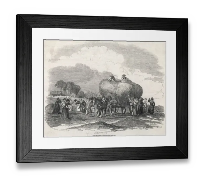 Framed Print : Harvesting Hay, Duncan Framed Print : Harvesting Hay, Duncan