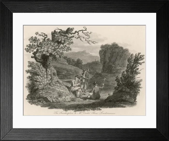 Framed Print : Botanists Botanising Framed Print : Botanists Botanising