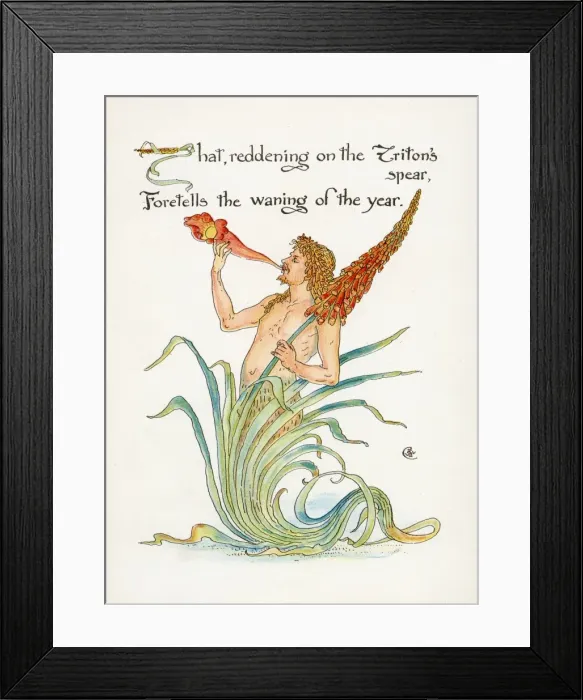Framed Print : Triton's spear - Crane - Kniphofia Framed Print : Triton's spear - Crane - Kniphofia