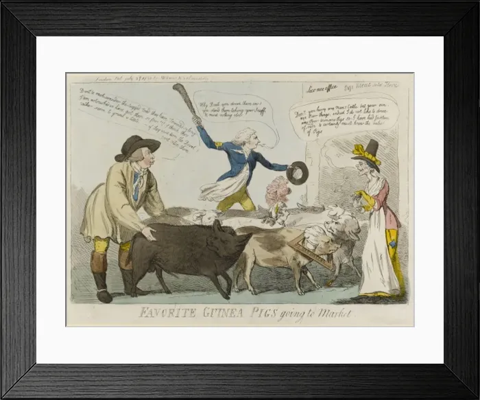 Framed Print : Favorite Guinea Pigs going to market Framed Print : Favorite Guinea Pigs going to market