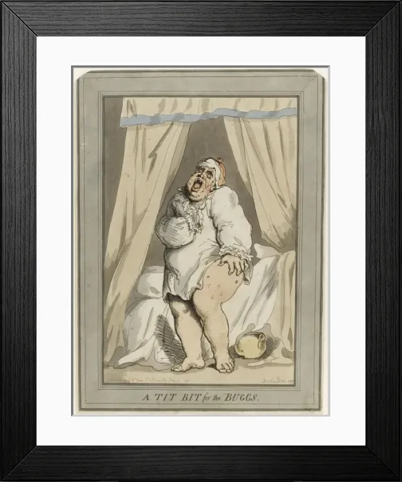 Framed Print : A Tit Bit for the Buggs Framed Print : A Tit Bit for the Buggs