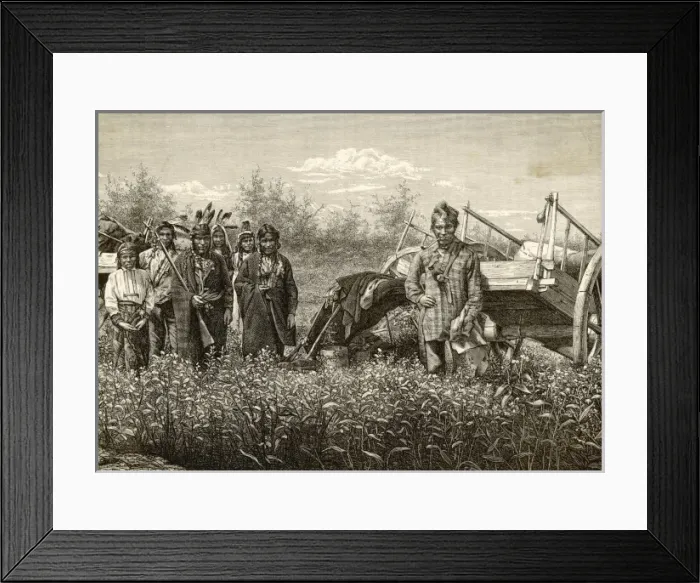 Framed Print : Racial / Chippewa C1870 Framed Print : Racial / Chippewa C1870