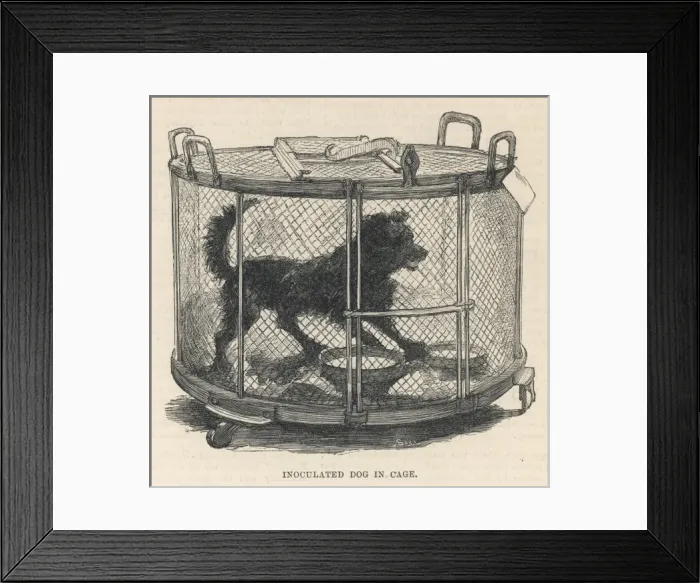 Framed Print : Science / Pasteur Framed Print : Science / Pasteur