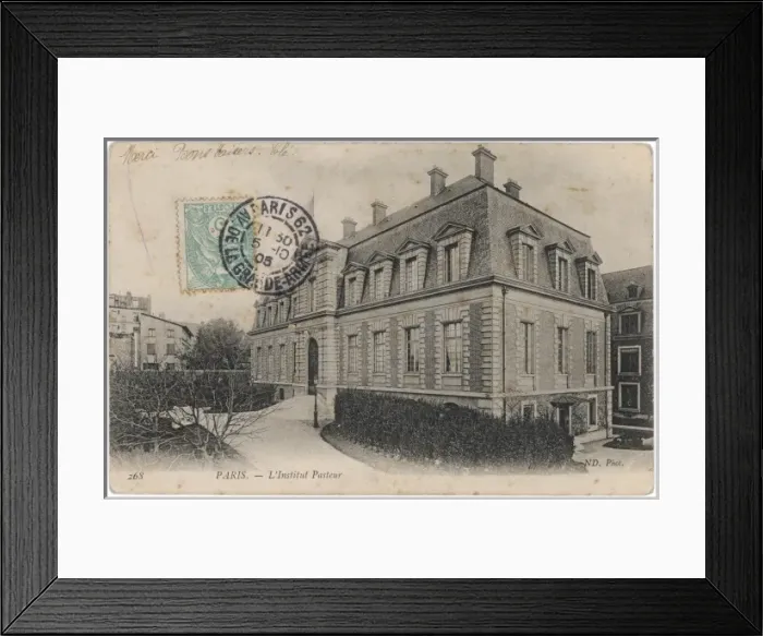 Framed Print : Science / Pasteur / Institut Framed Print : Science / Pasteur / Institut