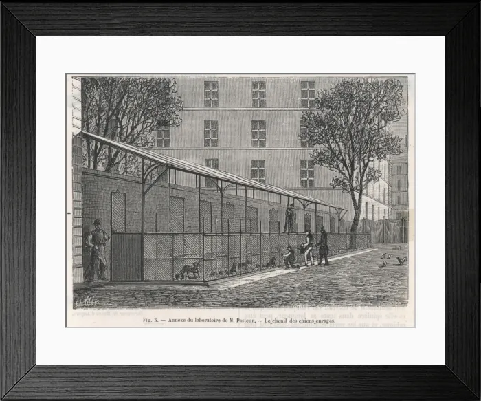 Framed Print : Science / Pasteur Framed Print : Science / Pasteur