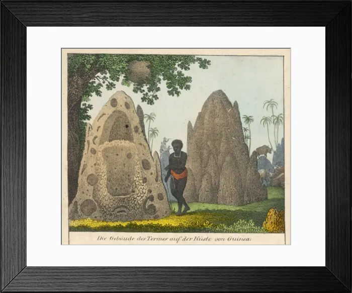 Framed Print : Termits Nests Framed Print : Termits Nests