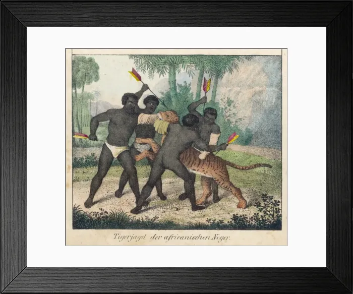 Framed Print : Hunting Tiger in Africa Framed Print : Hunting Tiger in Africa