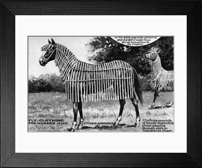 Framed Print : Curiosities and ingenuities from the Patent Office; Fly clot Framed Print : Curiosities and ingenuities from the Patent Office; Fly clot