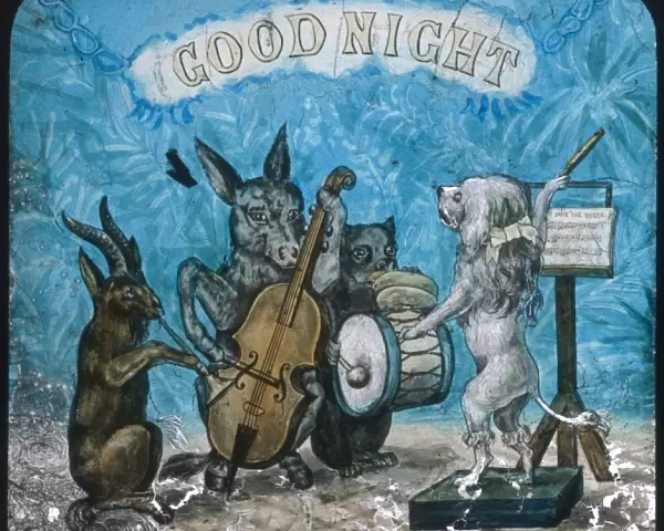 Animal Band Good Night
