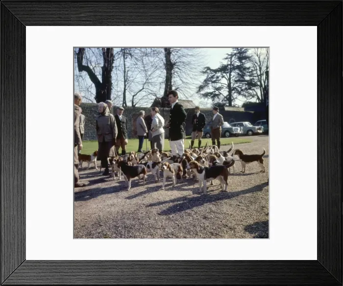 Framed Print : Fox Meet, Surrey 1960S Framed Print : Fox Meet, Surrey 1960S