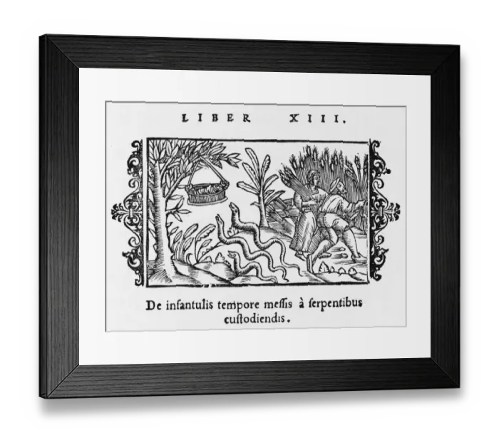 Framed Print : Baby Safe from Snakes Framed Print : Baby Safe from Snakes