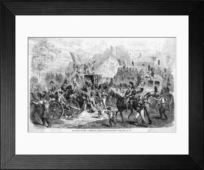 Framed Print : Charles X Leaves Framed Print : Charles X Leaves