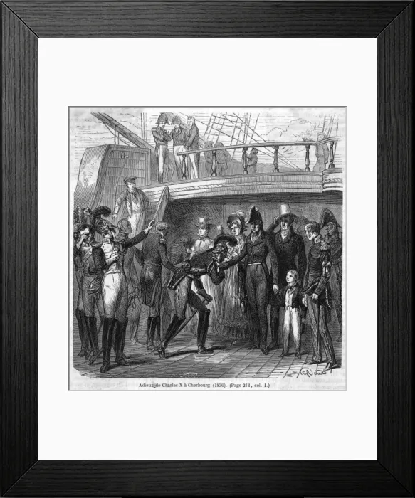 Framed Print : Charles X Leaves Framed Print : Charles X Leaves