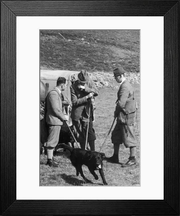 Framed Print : Grouse Shooting C1960 Framed Print : Grouse Shooting C1960
