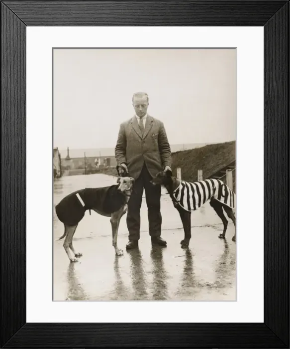 Framed Print : Greyhounds at Wembley Framed Print : Greyhounds at Wembley