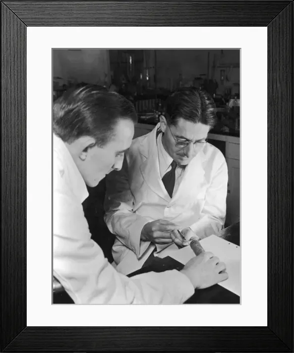 Framed Print : Howard Florey Working Framed Print : Howard Florey Working