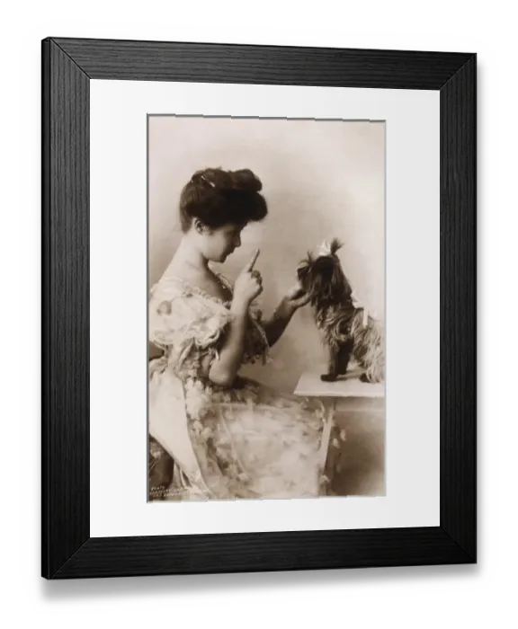 Framed Print : Billie Burke / Dog Framed Print : Billie Burke / Dog