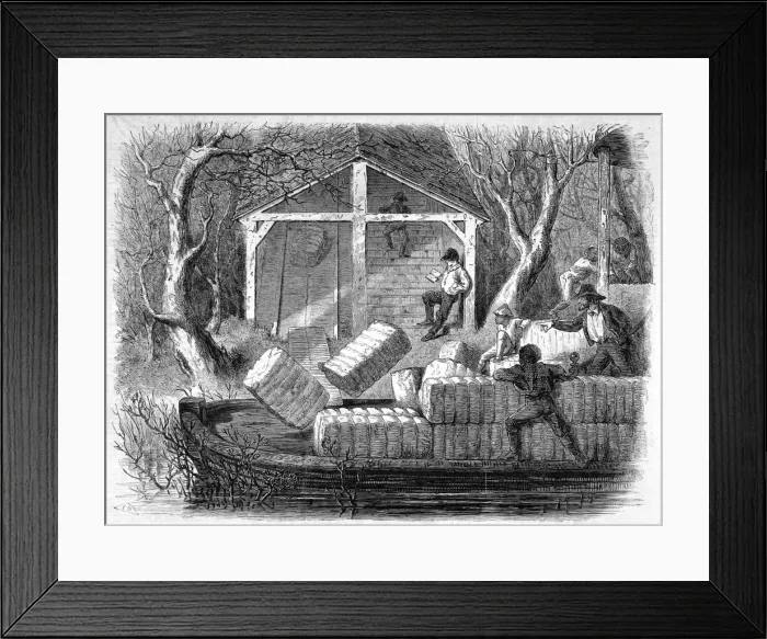 Framed Print : Shooting cotton bales into a river-steamer Framed Print : Shooting cotton bales into a river-steamer