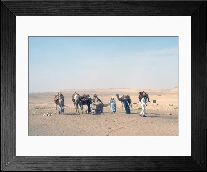 Framed Print : Sahaha Desert / Camels Framed Print : Sahaha Desert / Camels