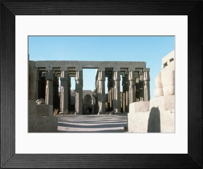 Framed Print : Luxor Temple Columns Framed Print : Luxor Temple Columns