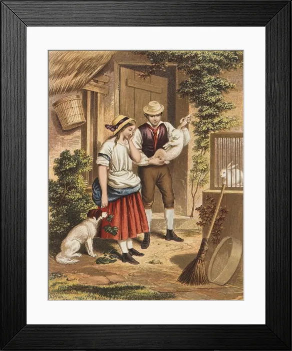 Framed Print : Rabbit for dinner Framed Print : Rabbit for dinner